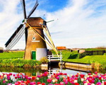 荷兰移民_荷兰投资移民_荷兰购房移民_荷兰王国库拉索移民项目介绍