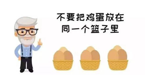 不要把鸡蛋放在同一个篮子里 不要把鸡蛋放在同一个篮子里