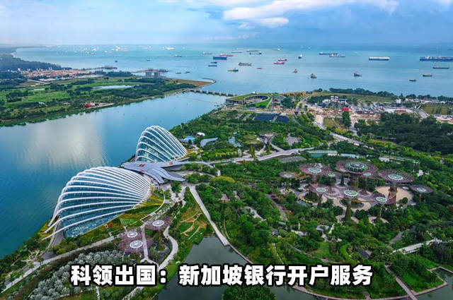 疫情之下足不出户新加坡银行开户远程操作一周搞定！