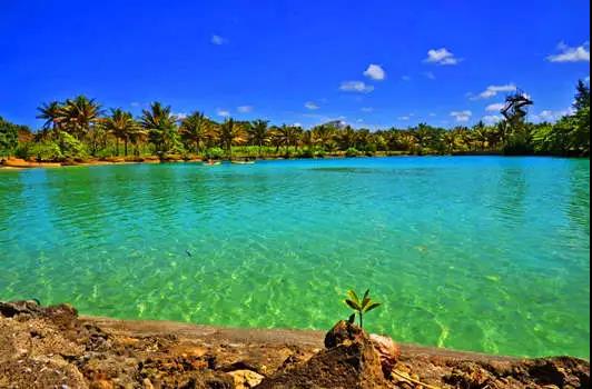 瓦努阿图绿卡和瓦努阿图护照的申请条件、申请材料及费用 瓦努阿图绿卡和瓦努阿图护照的申请条件、申请材料及费用