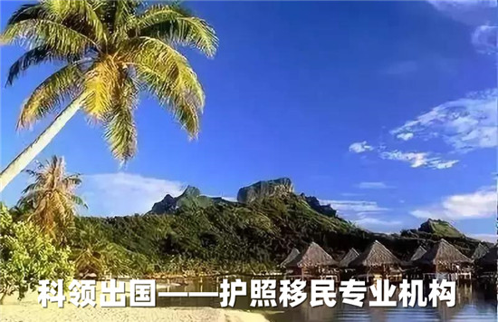 需要什么条件可以申请瓦努阿图护照? 需要什么条件可以申请瓦努阿图护照?