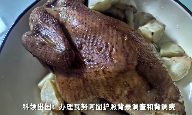 办理瓦努阿图护照的背景调查和背调费用说明 办理瓦努阿图护照的背景调查和背调费用说明